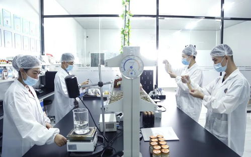 饮食新蓝海 品鉴燕窝全新研发汤膳产品生产线，切入鲜食赛道，引领工程与技术创新